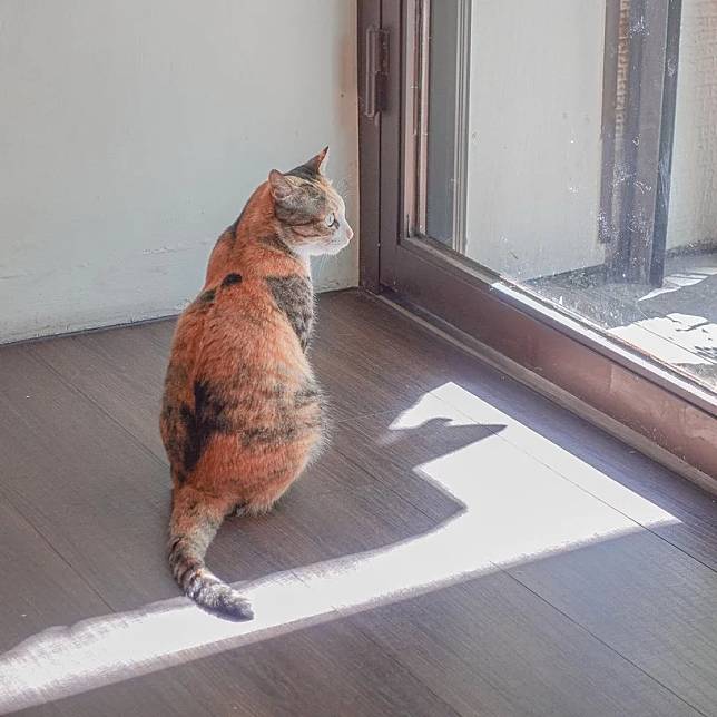 &#x5716;&#x7247;&#x4F86;&#x6E90;&#xFF1A;__pin_