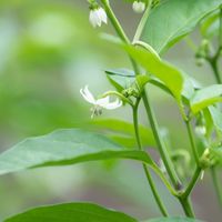 さいたま有機都市計画 からのご連絡🌿（ サポートメンバー 限定 ）