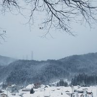 💜特惠、高CP旅遊情報✈️出國旅遊