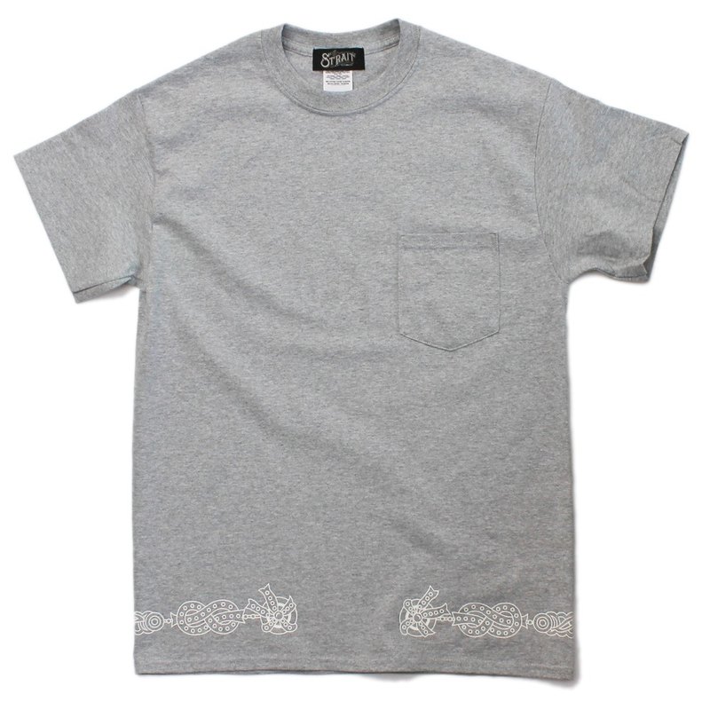 SS - T對DRE博士的第一張專輯“THE CHRONIC”的夾克進行了抽樣調查。