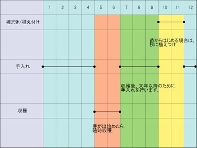 アスパラガスの栽培方法 育て方 コツは