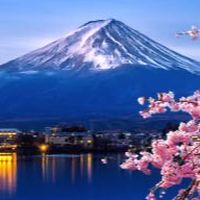 🇯🇵日本代購