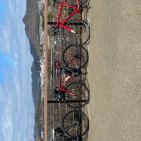 愛知岐阜三重ロード乗り