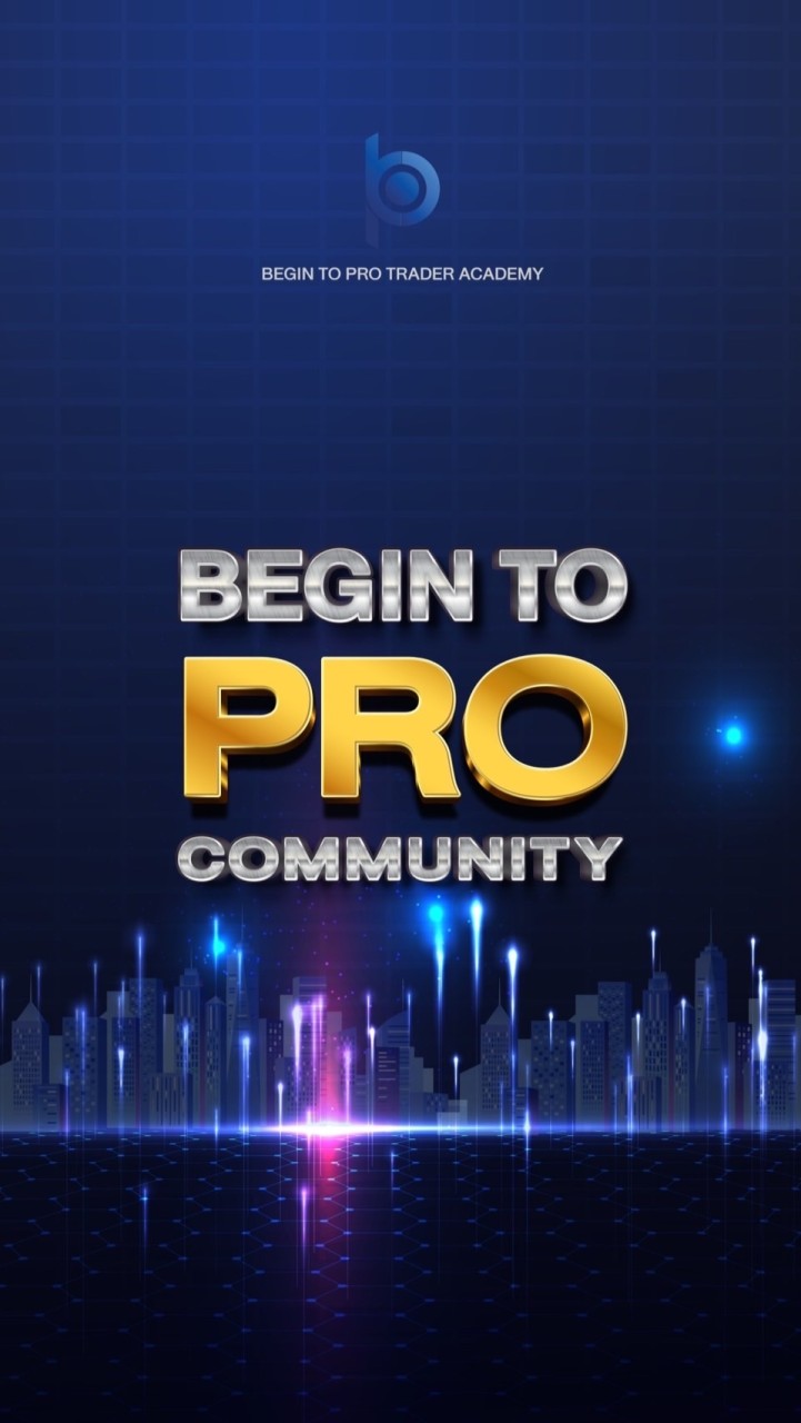 VIP Trader begin to pro