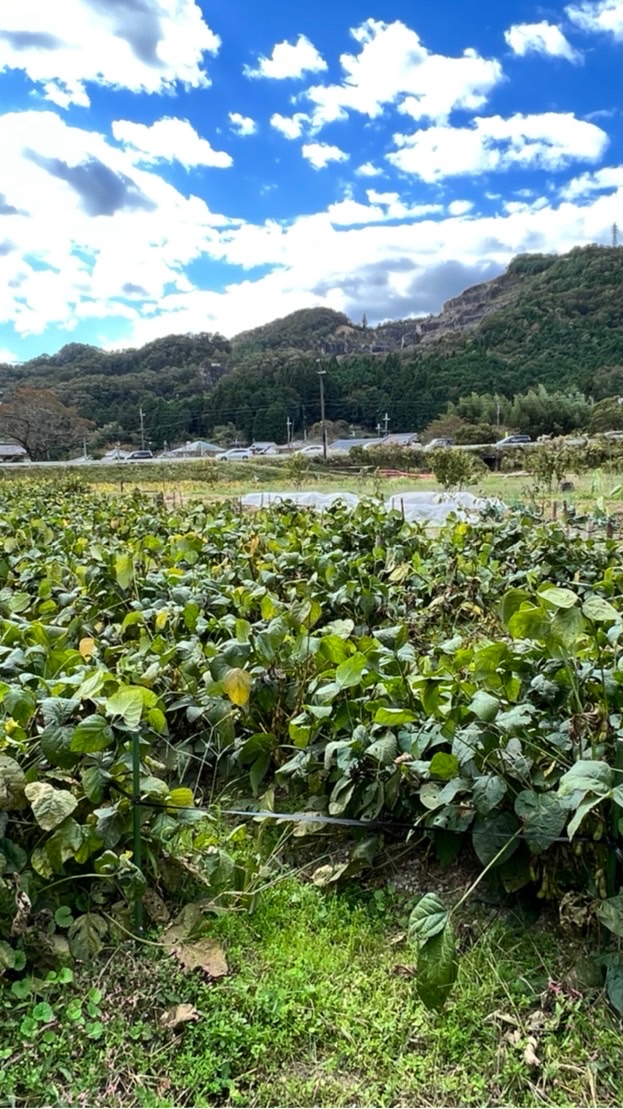 家庭菜園が地球を救う会のオープンチャット