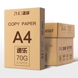 打印紙-復印紙A4打印白紙70gA4紙500張整箱純木漿紙一包辦公用品打印白紙草稿紙 艾莎嚴選