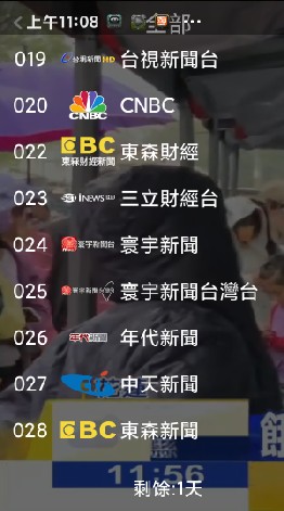 網路視頻