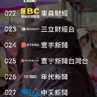 網路視頻