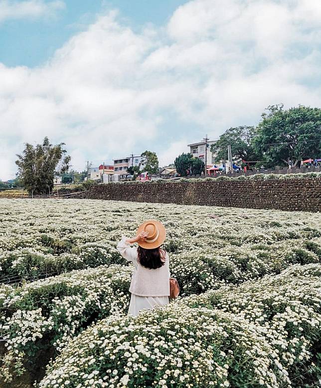 ▲圖片來源：IG@sharon_mylife813