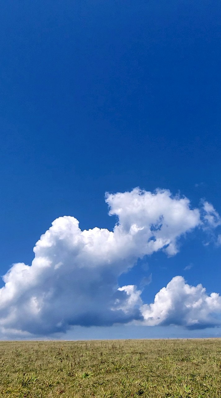 おちいし義務教育学校
