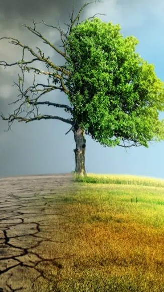 114-2「高二」衛生幹部