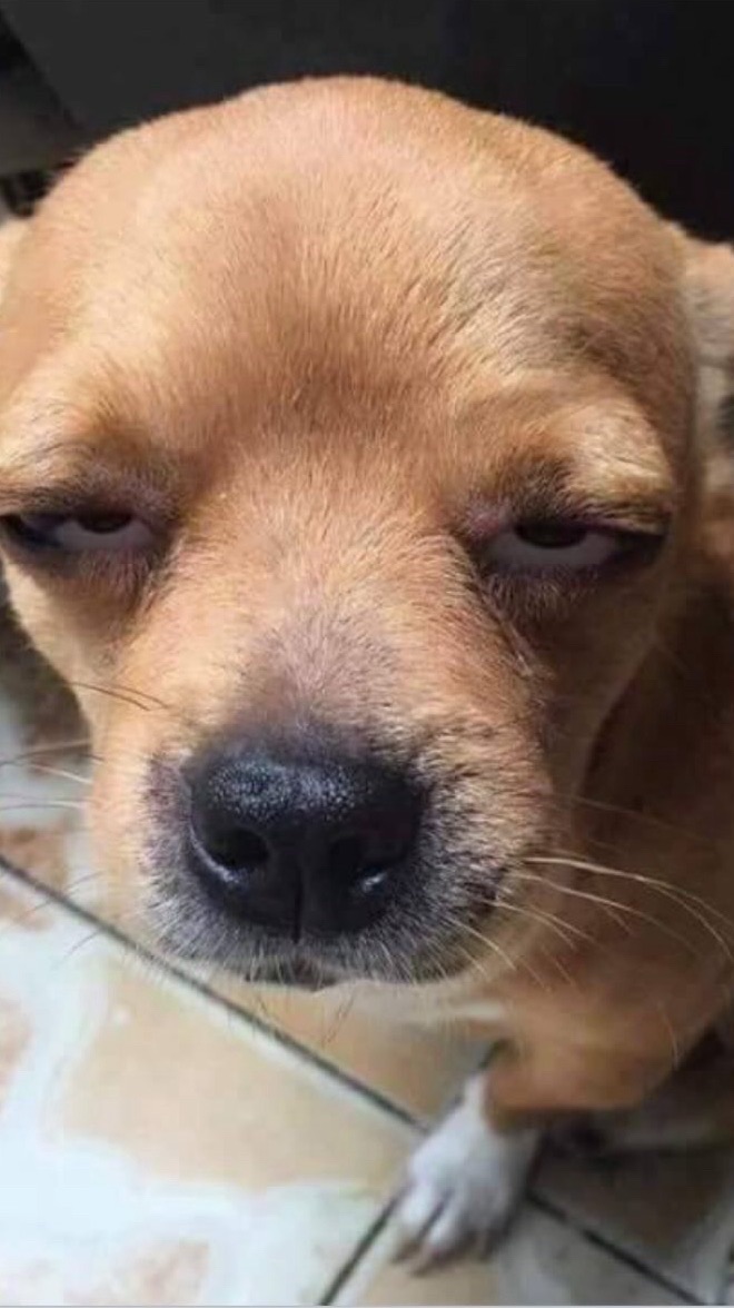 遠雄幸福成住戶反🦐版主群      禁D01F28 E03F28