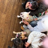 フレブッヒー北部会
