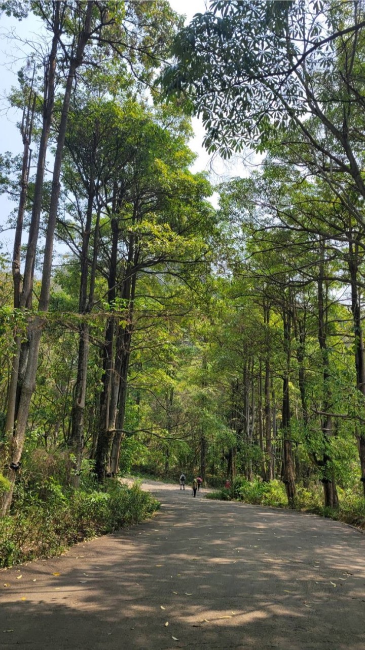 台中休閒登山團