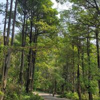 台中休閒登山團