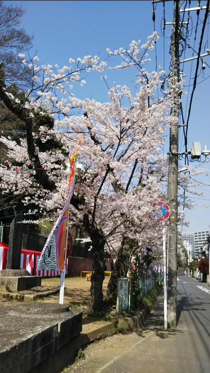 岩瀬☆みんなで歌おうプロジェクト2025