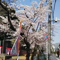 岩瀬☆みんなで歌おうプロジェクト2025