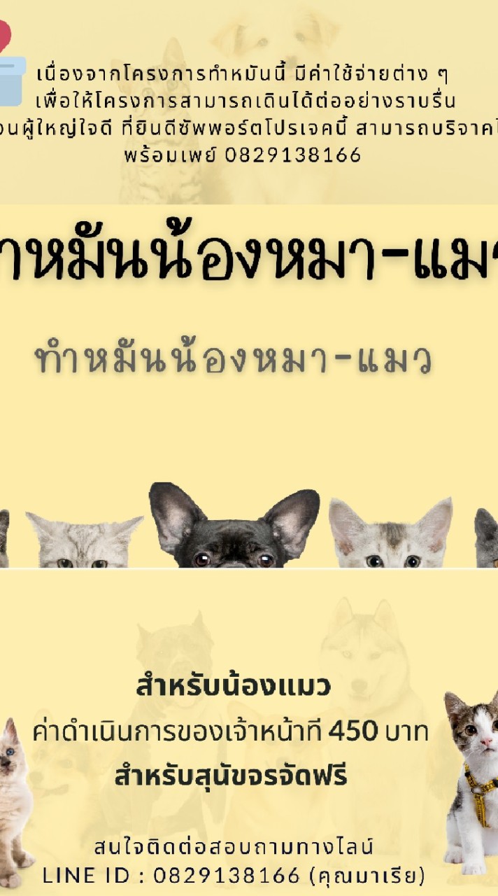 ทำหมันหมาแมวbyMaria