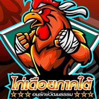 ไก่เดือยใต้ ไก่ชน ดูไก่ชน