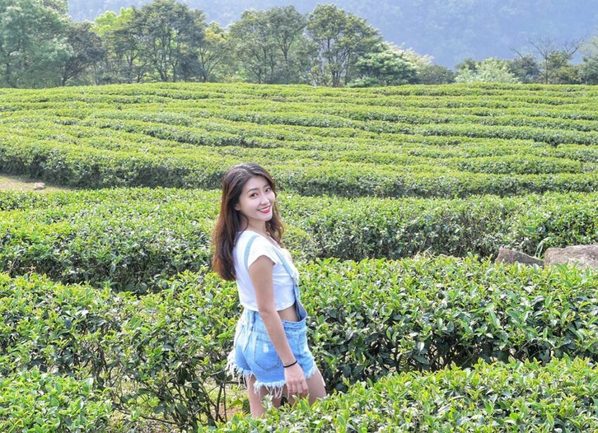 三峽熊空茶園｜熊空茶園是依山坡而種植的茶園，在大晴天下顯得更加翠綠