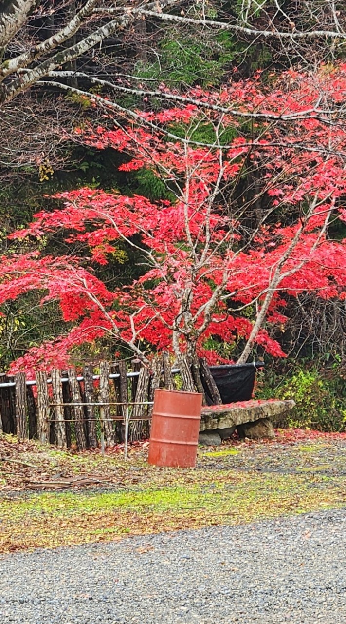 たのし荘　別館