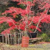 たのし荘　別館