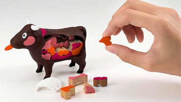 認識燒肉各部位——牛體拆骨拼圖