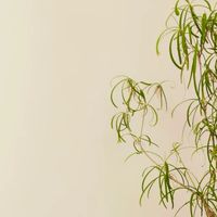 ชวนกันขยับ...นับก้าวแลกไข่ (outsource)