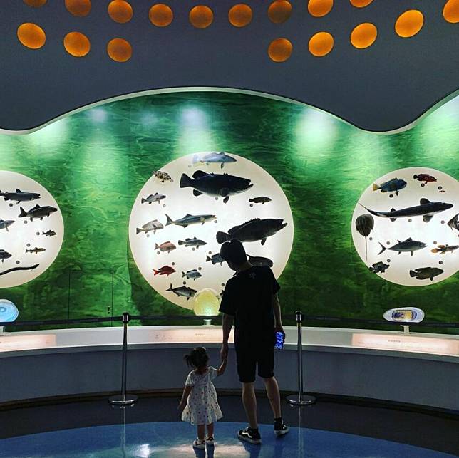 圖片授權：IG @kinlau