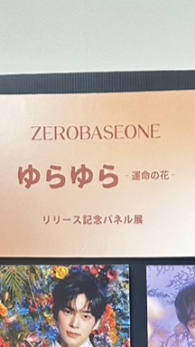 ZB1 シリアル🥣波