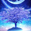 中高生かもーーん！