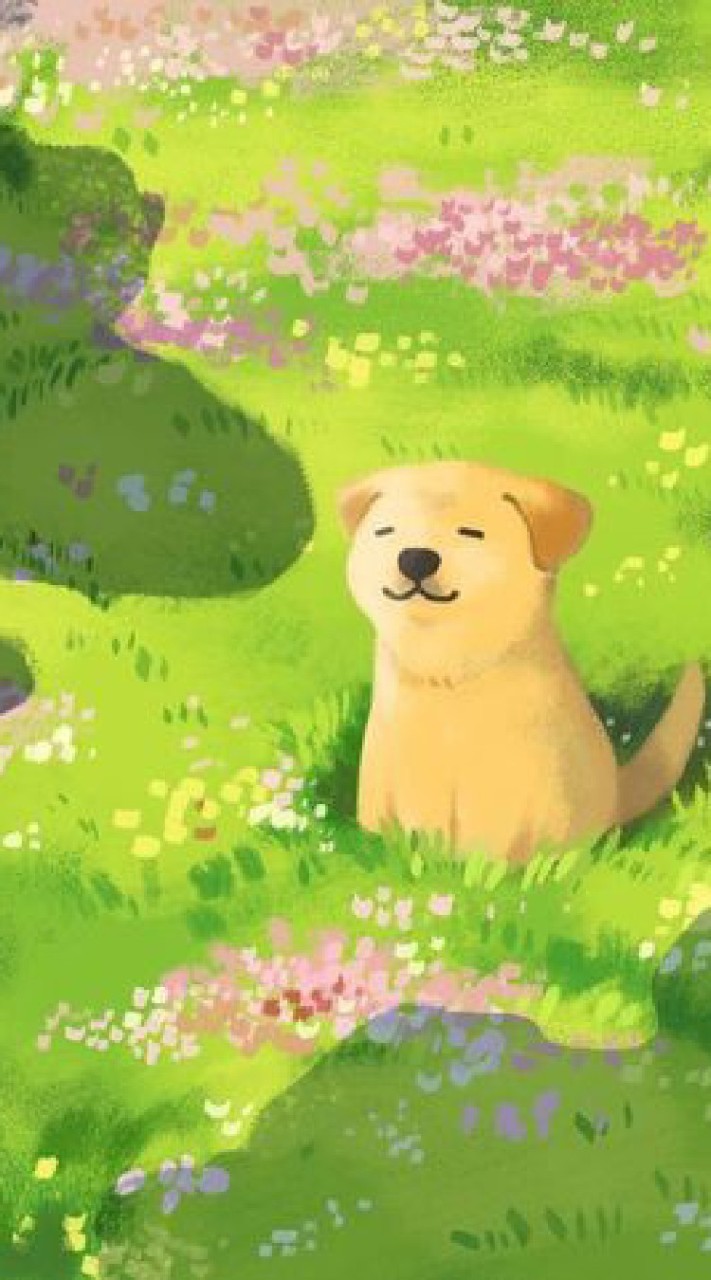 💐💐ขายส่งแอพพรีเมี่ยมต่างๆๆ💐💐