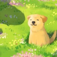 💐💐ขายส่งแอพพรีเมี่ยมต่างๆๆ💐💐