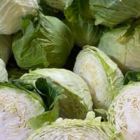 防疫新鮮蔬果人🙋🏼‍♀️🙋🥬🌽🥕