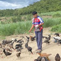 บุษบงฟาร์ม