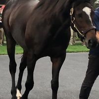 一口馬主コミュニティ