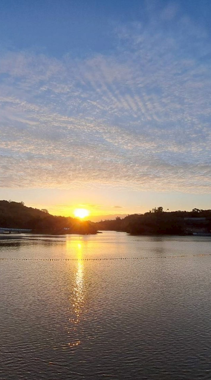 🏞新竹科學園區青草湖旗艦店🌐全球愛玉國家隊💚心靈減壓園藝療育森林浴開心農場李載榮0935030030