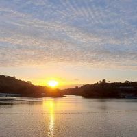 🏞新竹科學園區青草湖旗艦店🌐全球愛玉國家隊💚心靈減壓園藝療育森林浴開心農場李載榮0935030030
