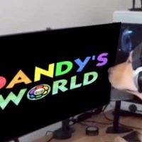 Dandy world THAILAND PLAYER👾