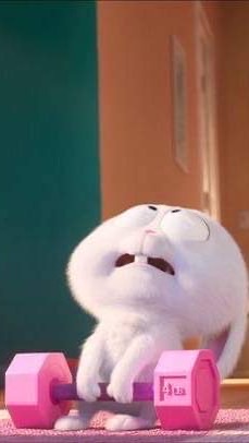หาสาระไม่มี