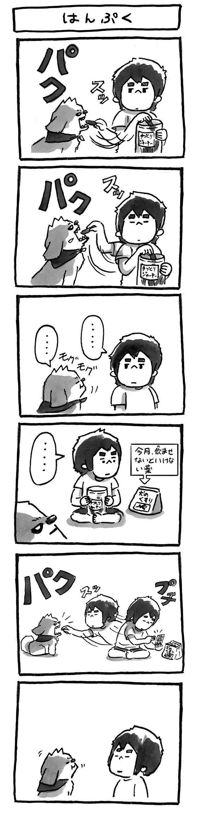 うちの犬 バズった