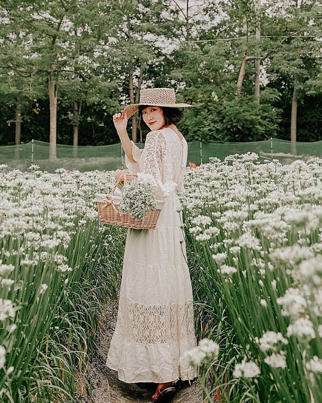 ▲埤頭韭菜花田。(圖/IG @vianliu0502)