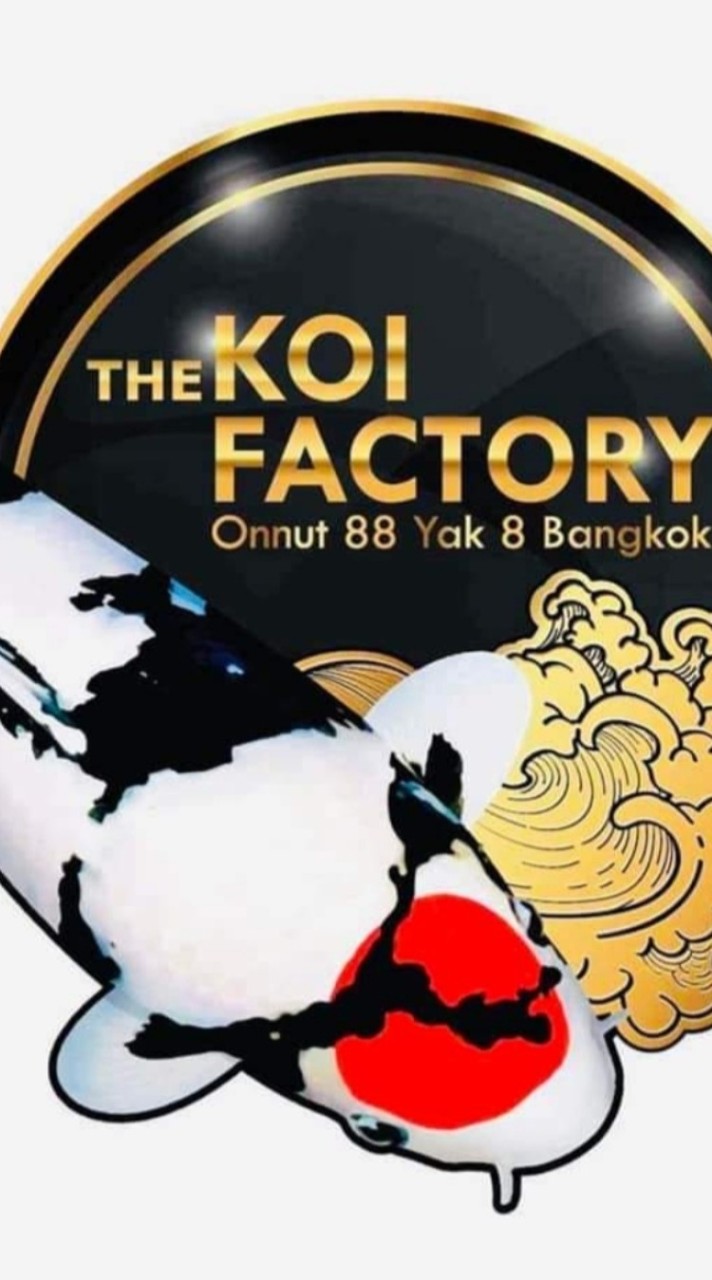 the koi factory เดอะโค่ย แฟคโตรี่