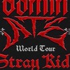 スキズ domin ATE world tour straykids stay ステイ