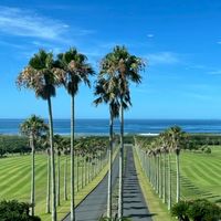 ⛳️いちゴル　千葉・市原ゴルフ仲間募集‼️⛳️