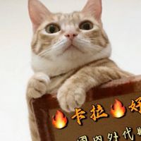 🔥卡拉🔥國內外代購 VIP群