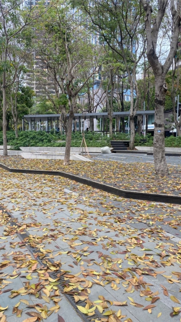 「總太2020」一起揪團來運動