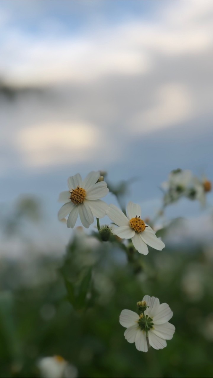 💔ของเกย์สูงวัย ( ที่ยังมีความรู้สึก )