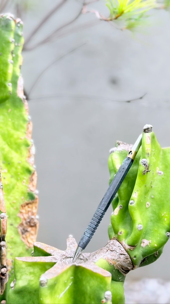 文房具写真研究室