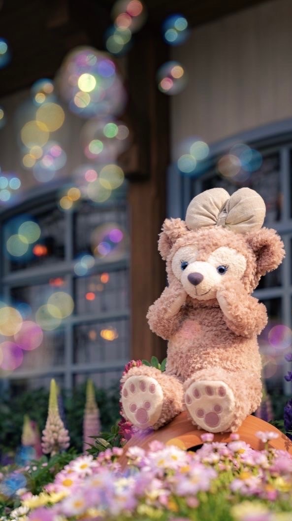 Disneycollectionshopp 🏰🧸